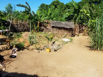 20160520_145328 (Large).jpg